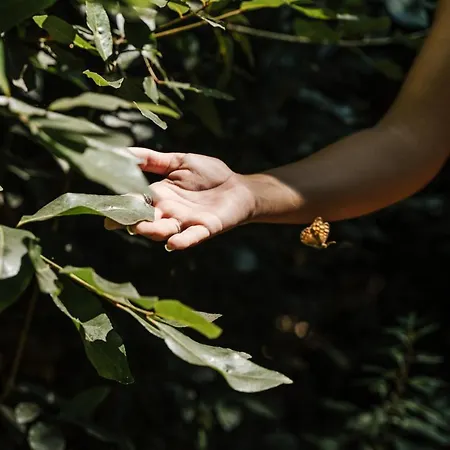 Conimbriga Do Paco ホテル 4*