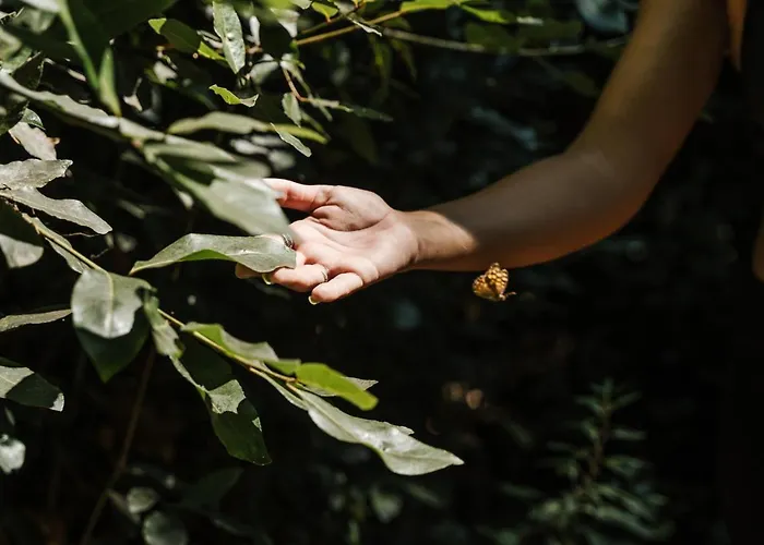 Conimbriga Do Paco Hotell 4*